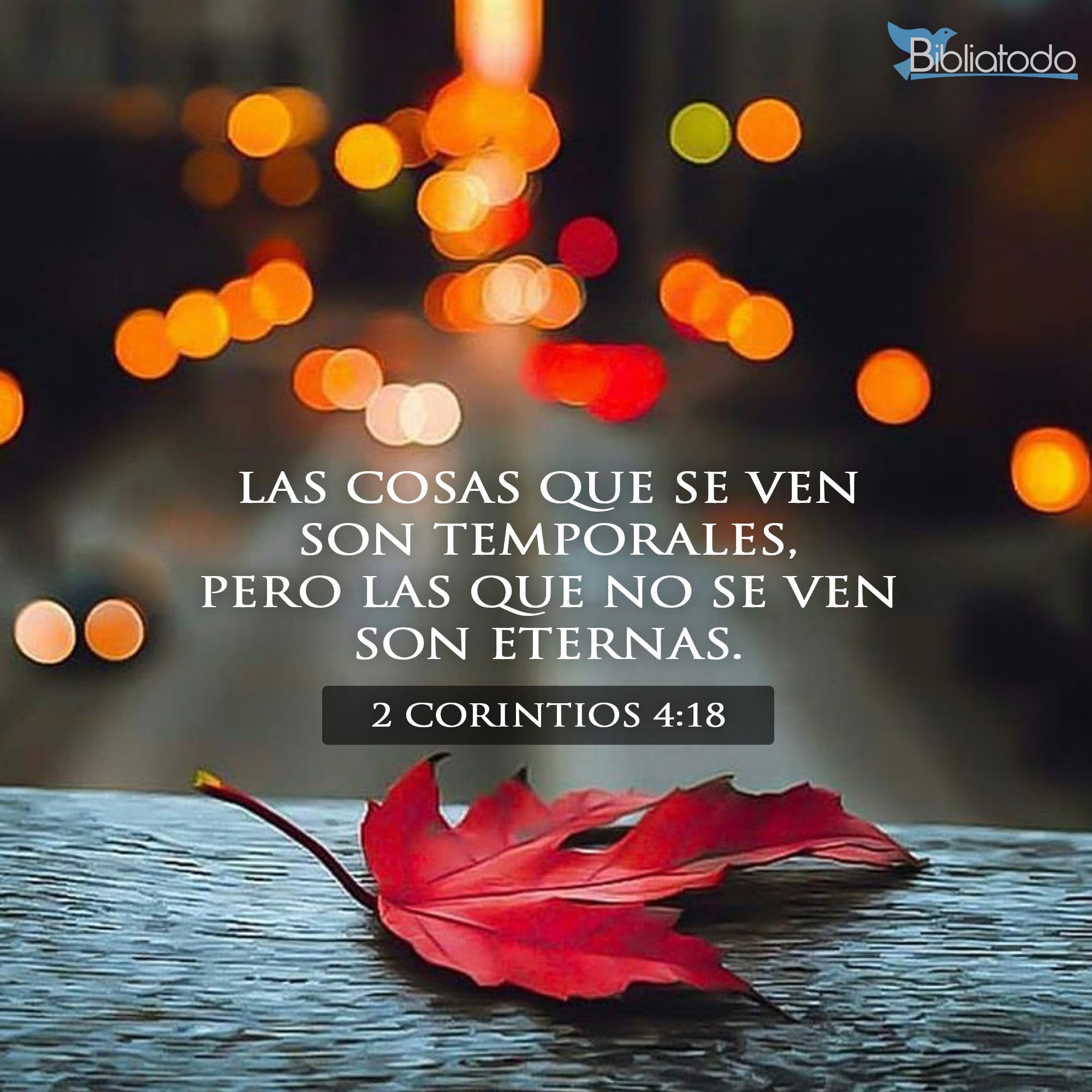 Las cosas que se ven son temporales