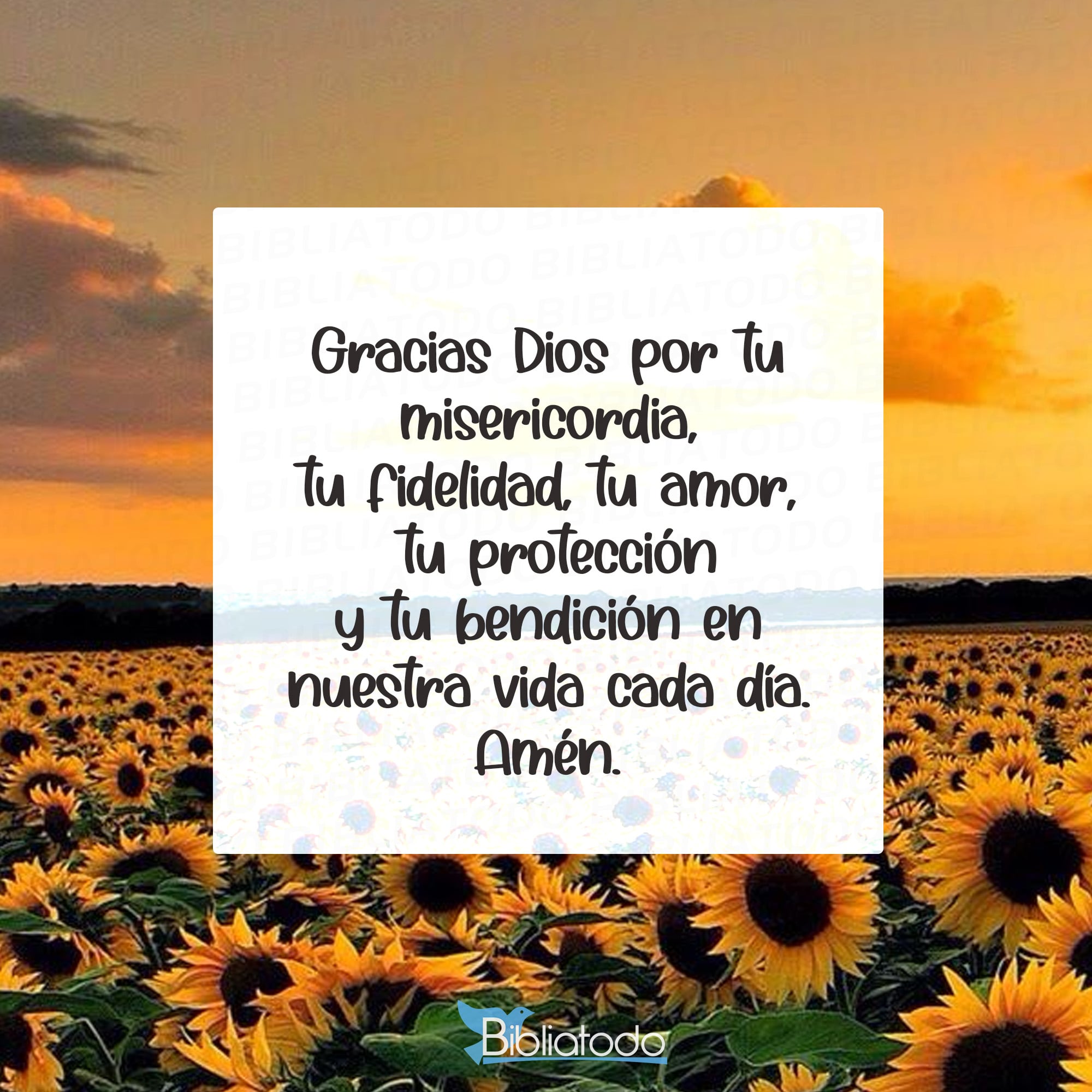 Gracias Dios por tu misericordia