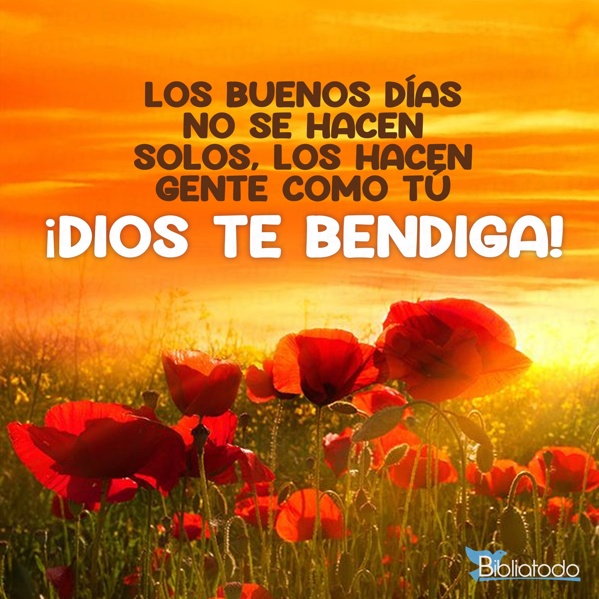 Los buenos días no se hacen solos
