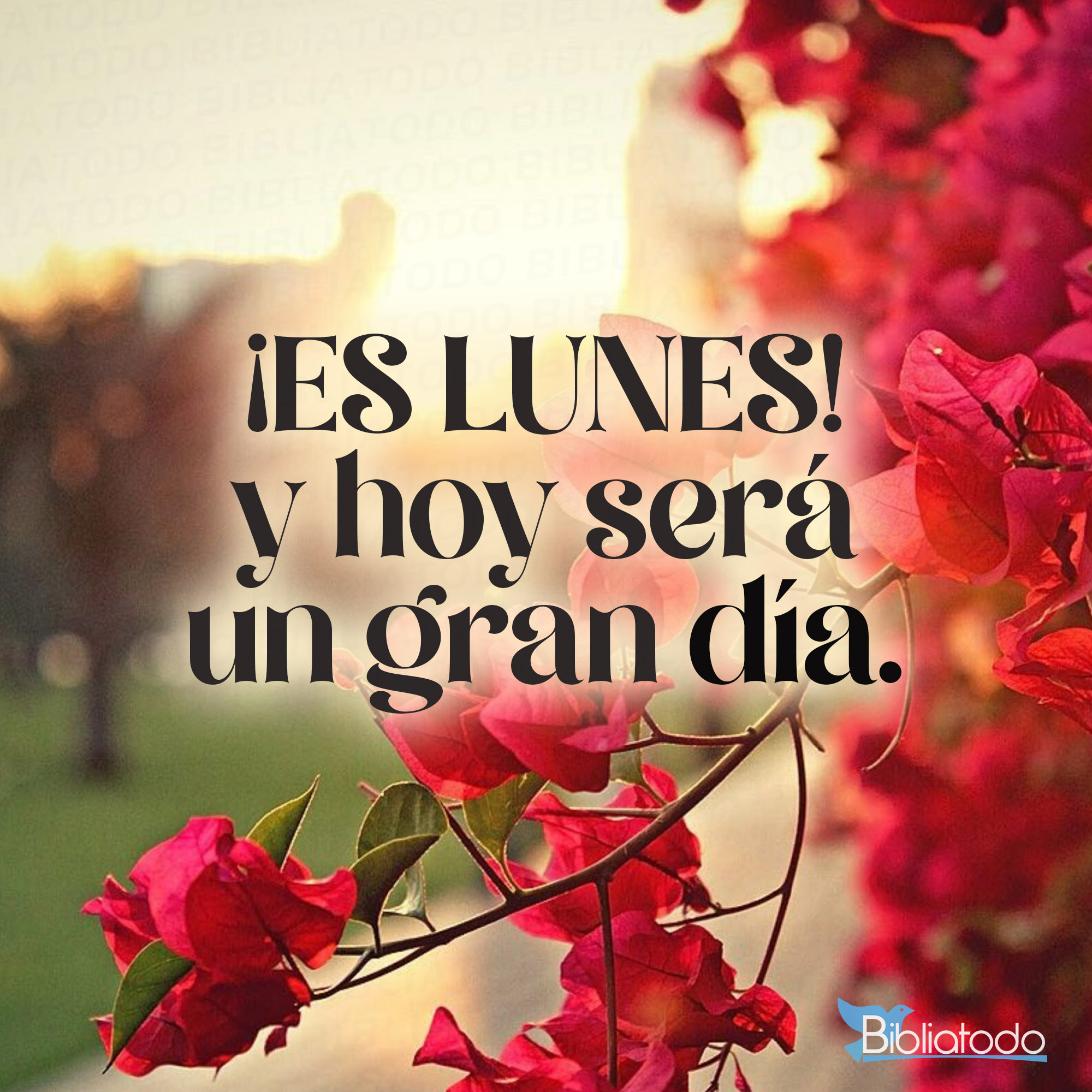 Hoy será un gran día