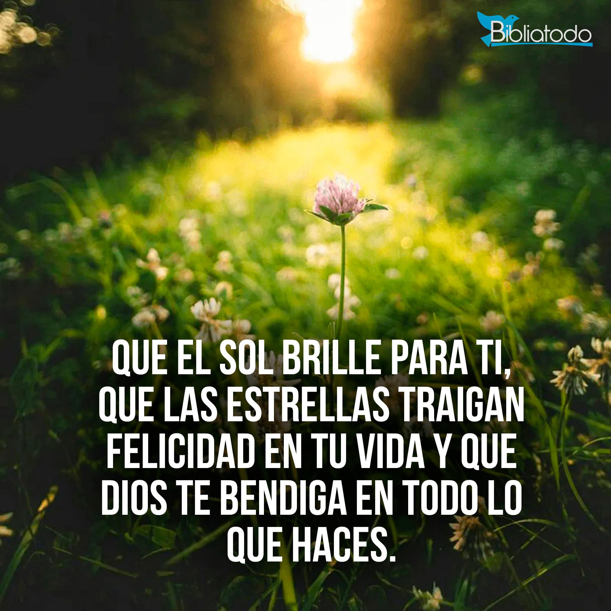 Que el sol brille para ti