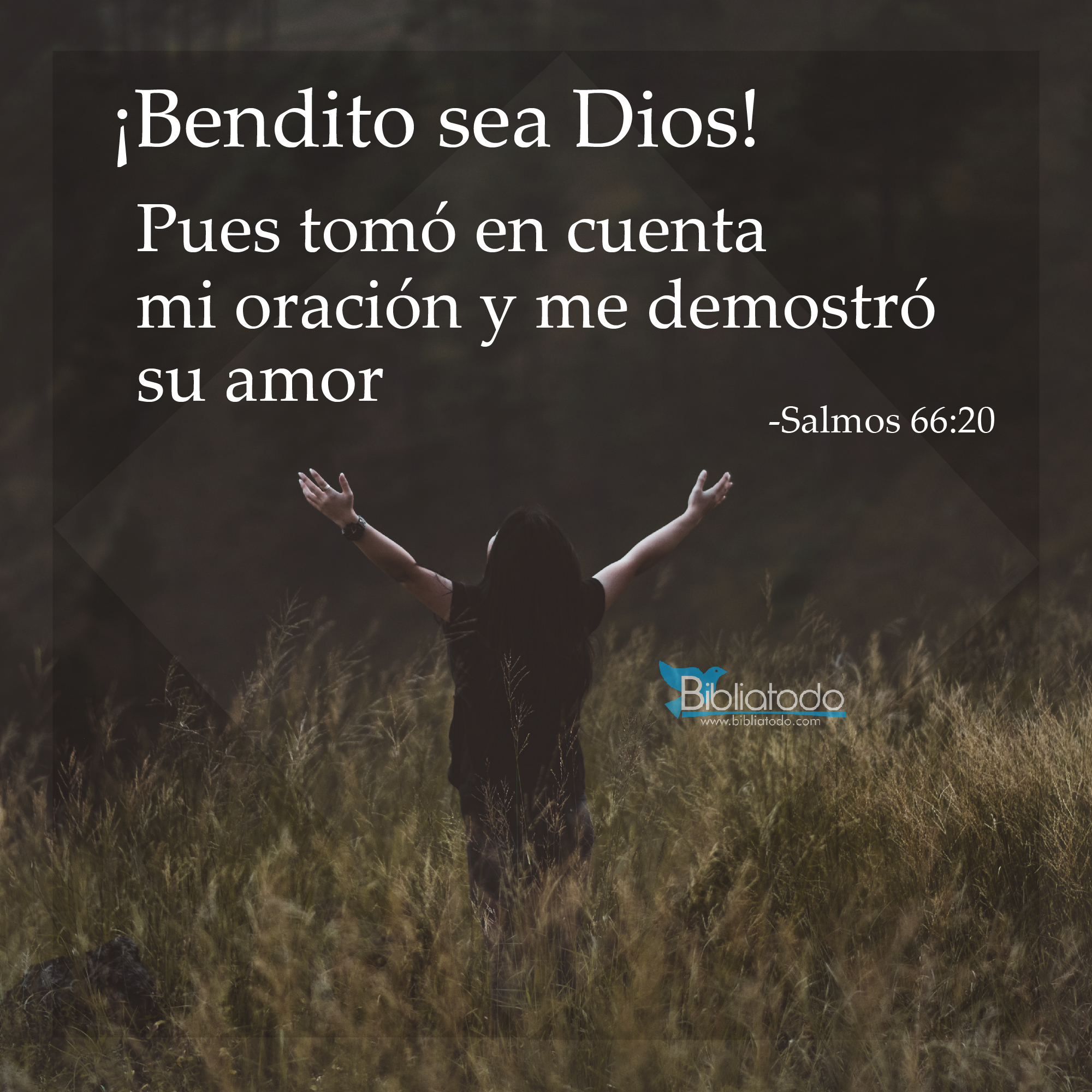 comunidaddelapazinterior #StarsEverywhere Bendito sea tu nombre, image size:2000x2000