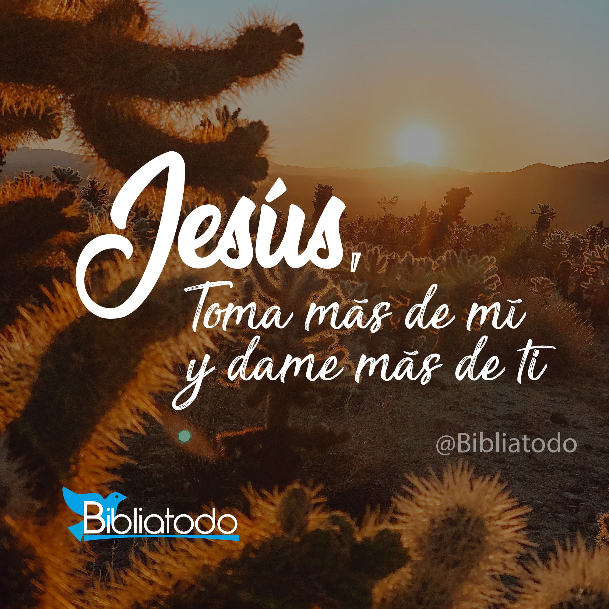 Jesús toma más de mí y dame más de ti.
