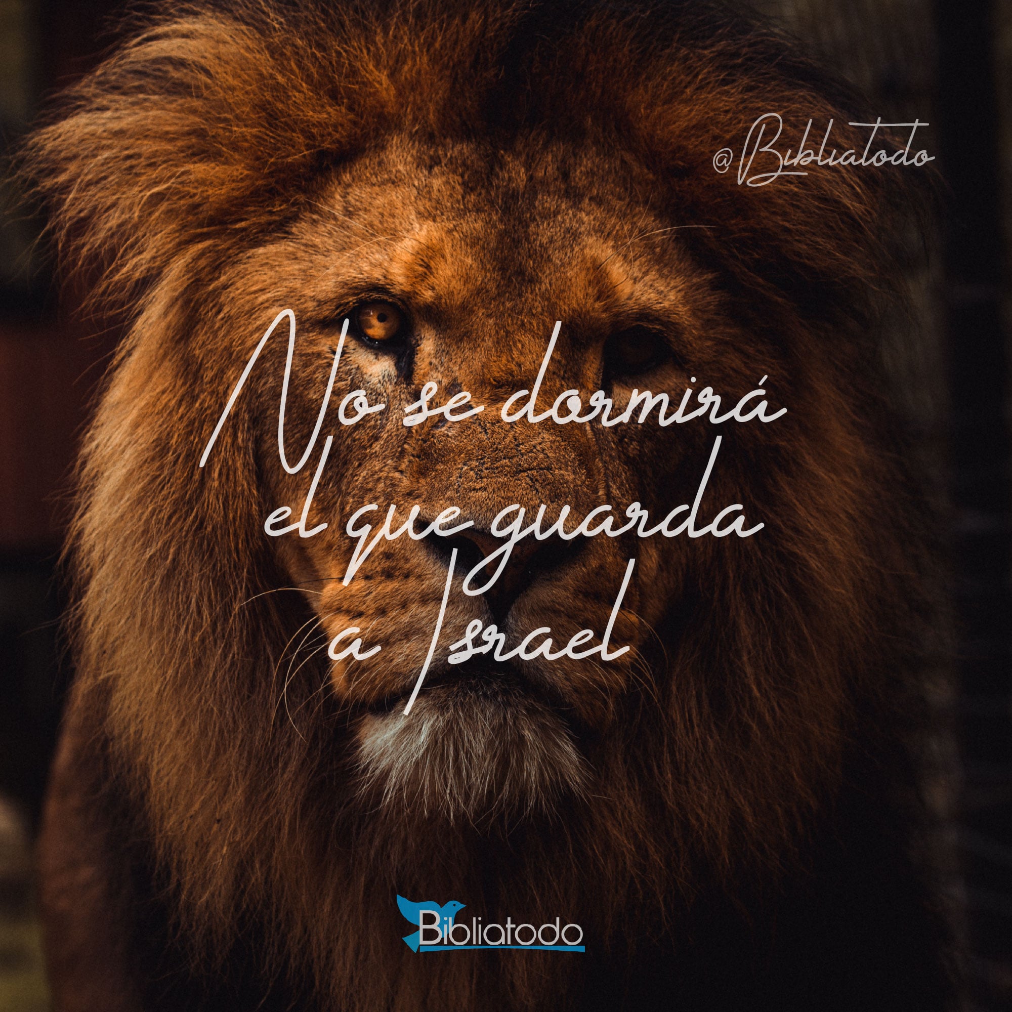 No se dormirá el que guarda a Israel