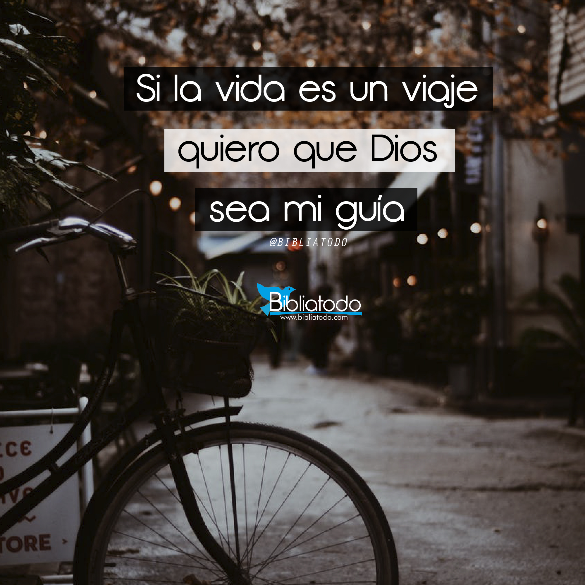 Si la vida es un viaje quiero que Dios sea mi guia