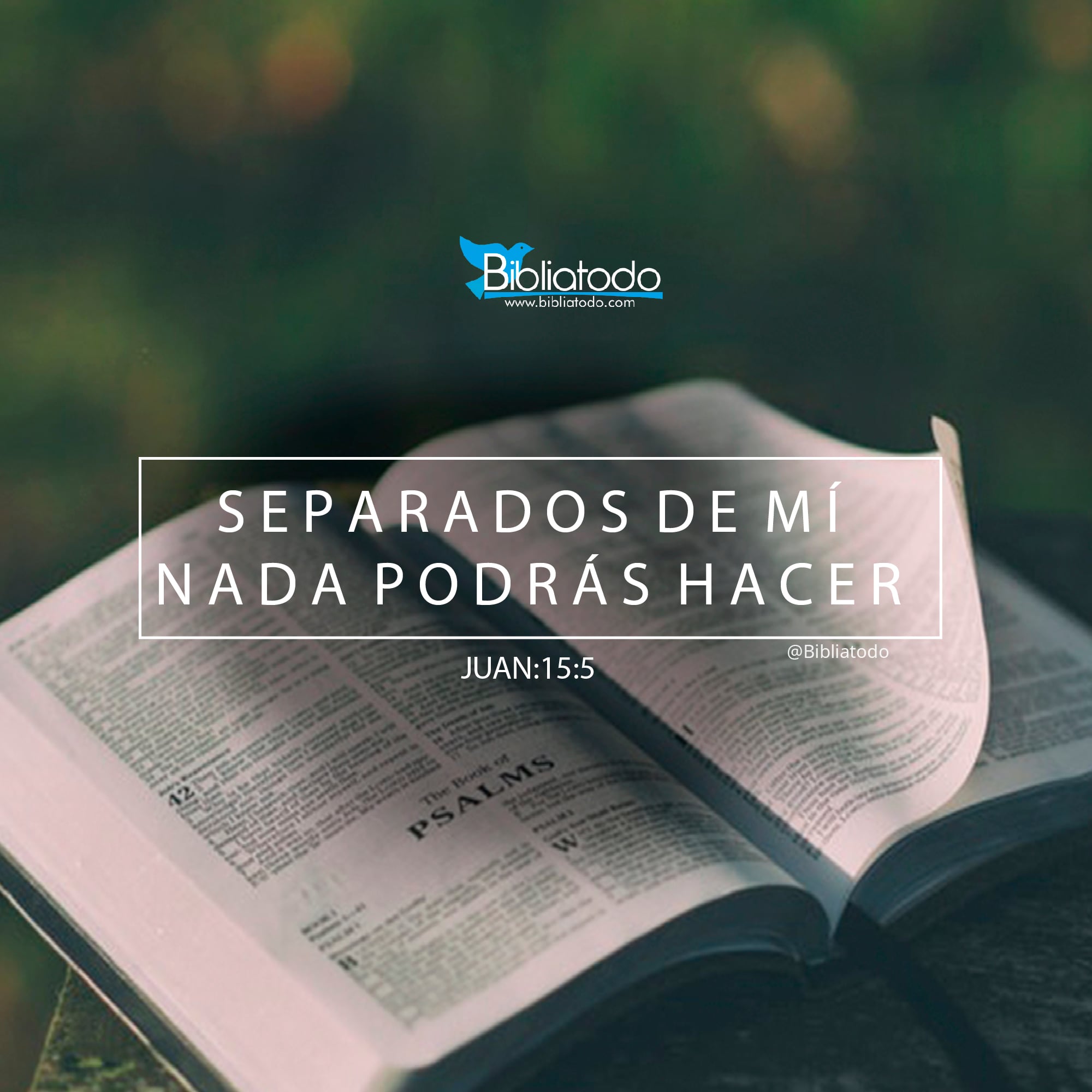 Separados de mí nada podrás hacer