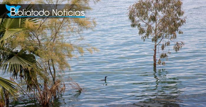 Falla milagrosamente ataque de Irán al intentar envenenar las aguas de Israel.