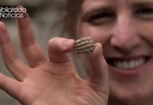 Hallan inscripción de 2.700 años de antigüedad que confirma relatos bíblicos de Reyes y Crónicas
