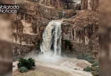Israel ve brotar ríos en el desierto y se reaviva profecía de Isaías Israel ve brotar ríos en el desierto y se reaviva profecía de Isaías