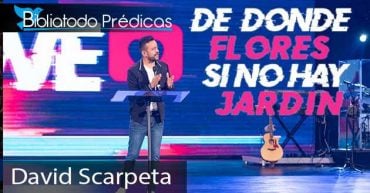 ¿De dónde flores si no hay Jardín? - David Scarpeta