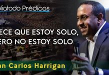 Parece que estoy solo, pero no estoy solo - Juan Carlos Harrigan