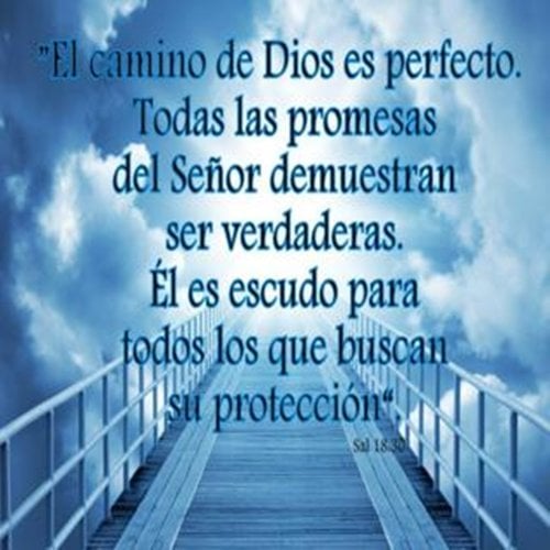 Imagenes cristianas con frases (Android) - Descargar