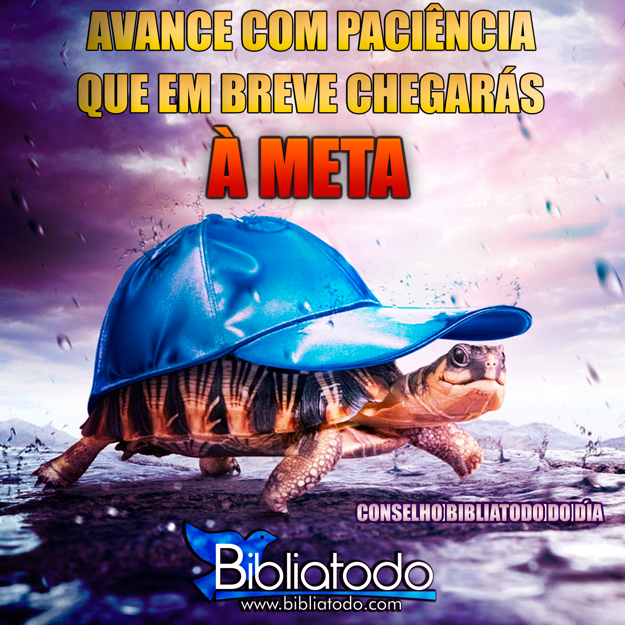 Avance com paciência que em breve chegarás à meta