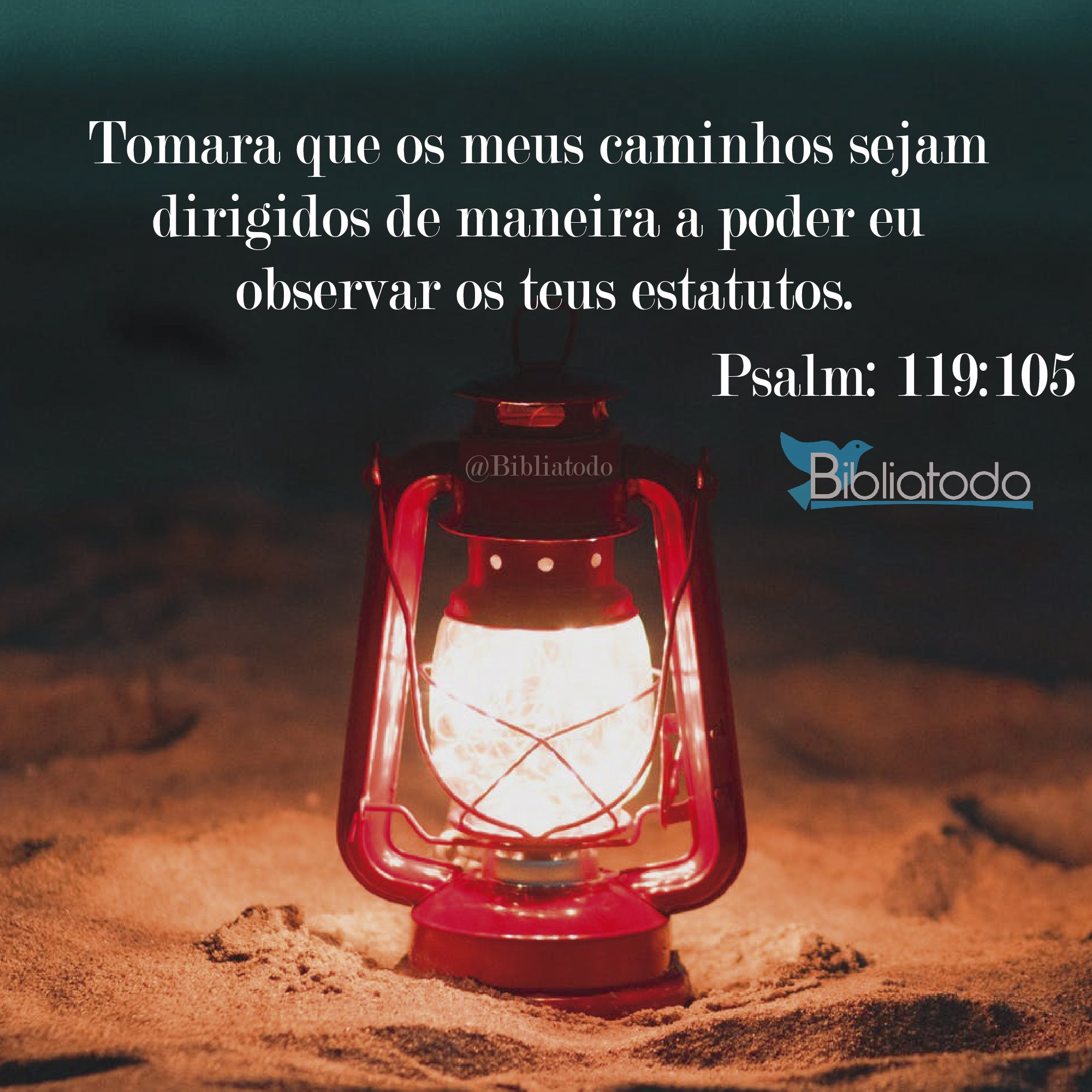 Tomara que os meus caminhos sejam dirigidos de maneira a poder eu observar os teus estatutos