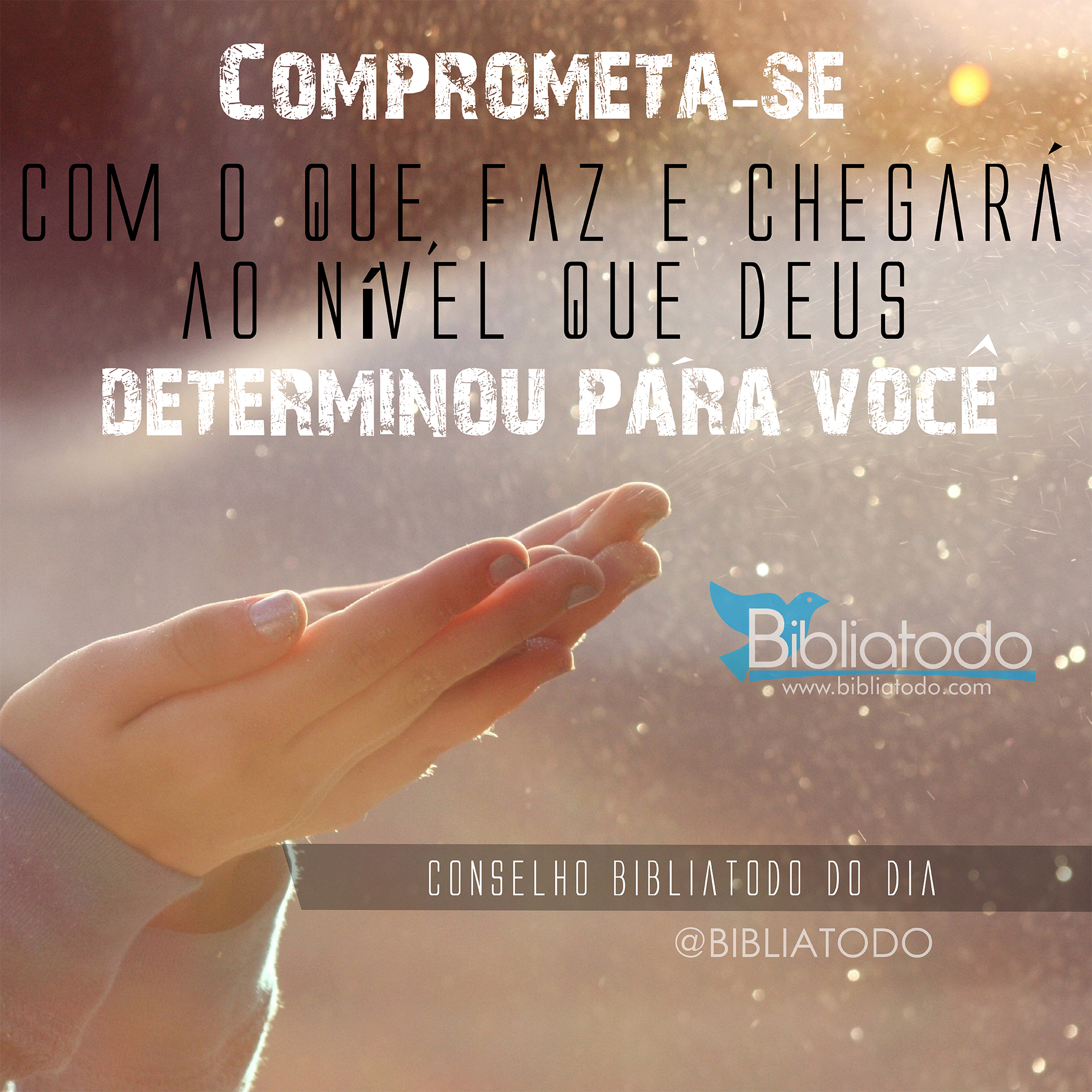 Comprometa-se com o que faz e chegará ao nível que Deus determinou para você