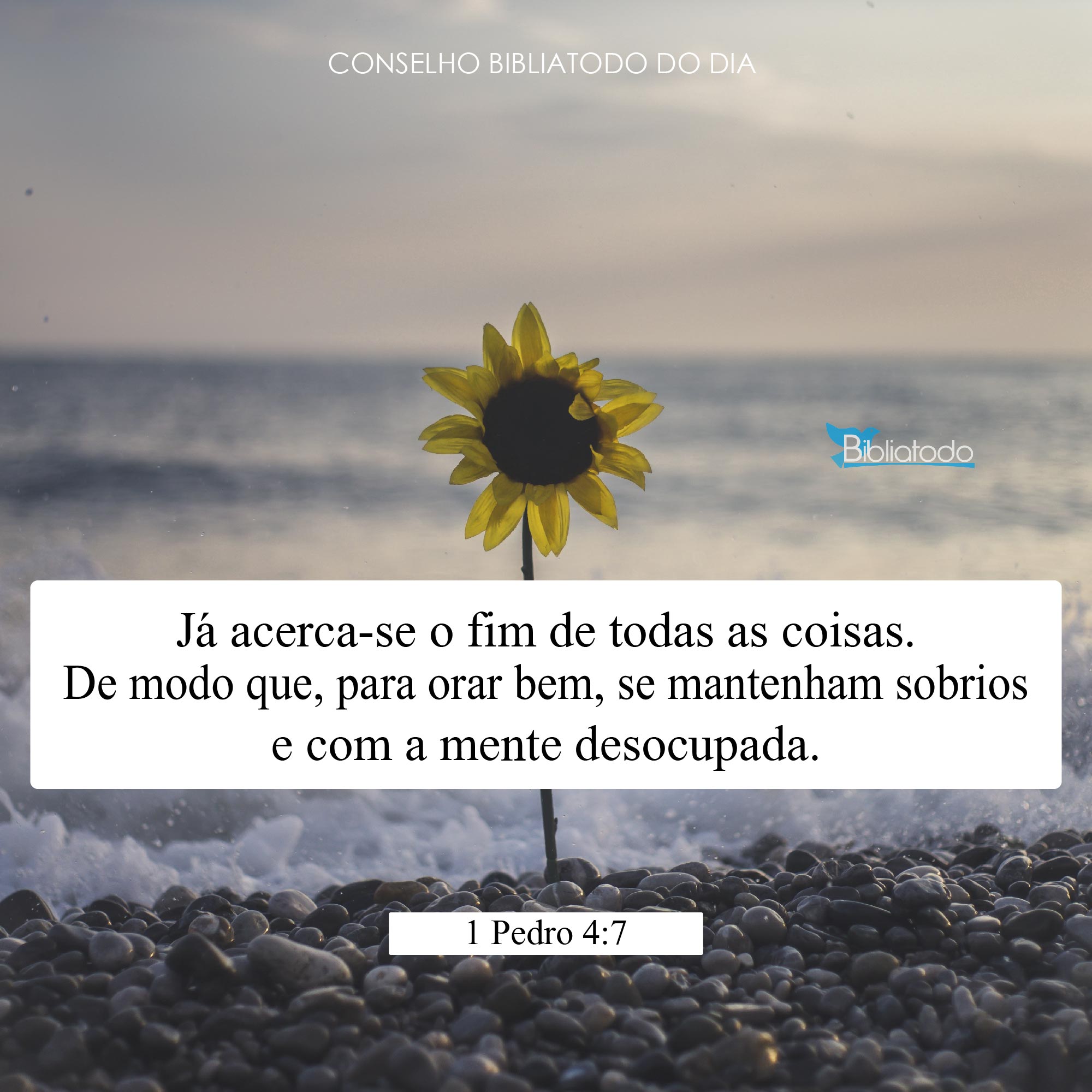 Já acerca-se o fim de todas as coisas de modo que para orar - Imagens  Cristãs - Imagens Gospel, image size:2000x2000