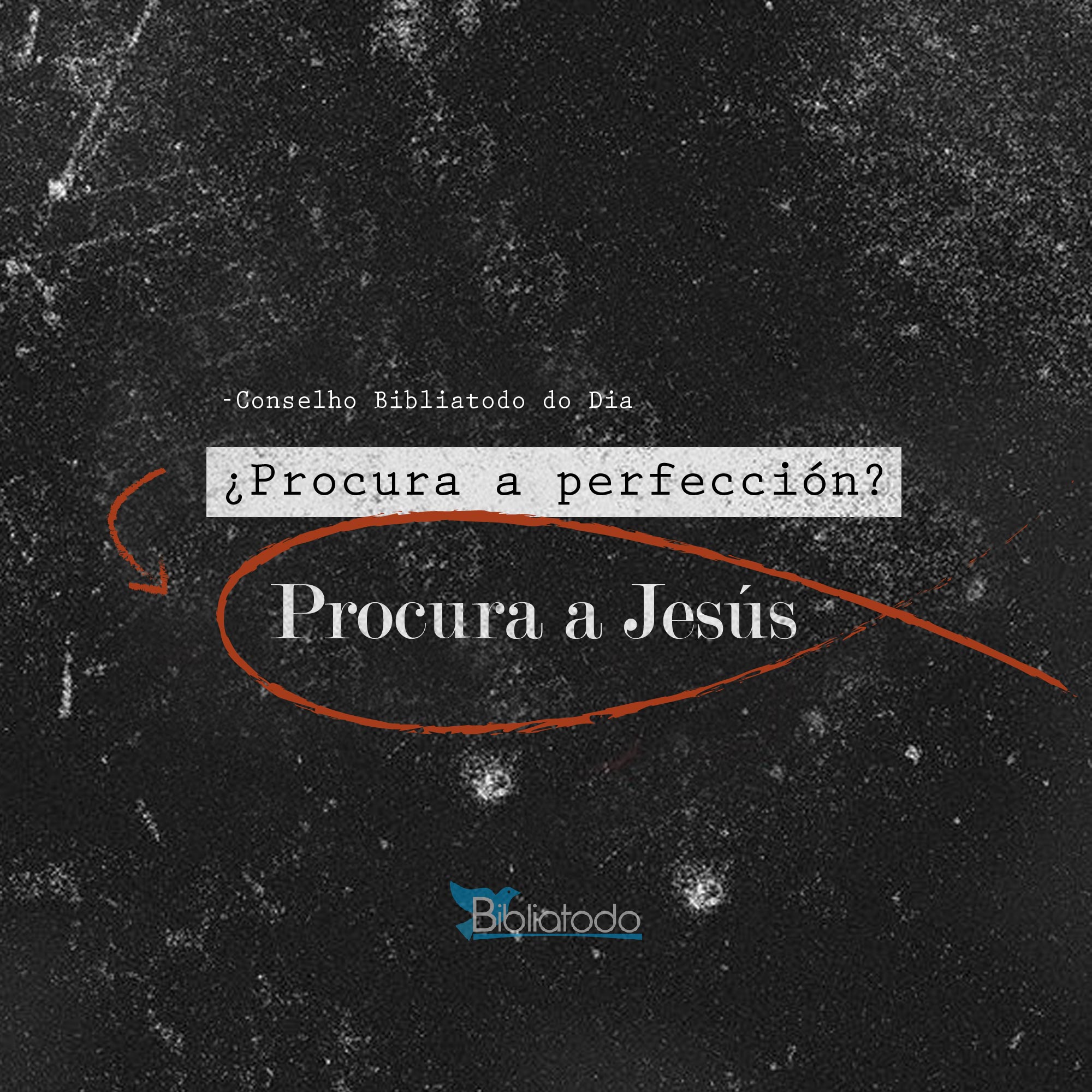 Procura a perfección Procura a Jesús