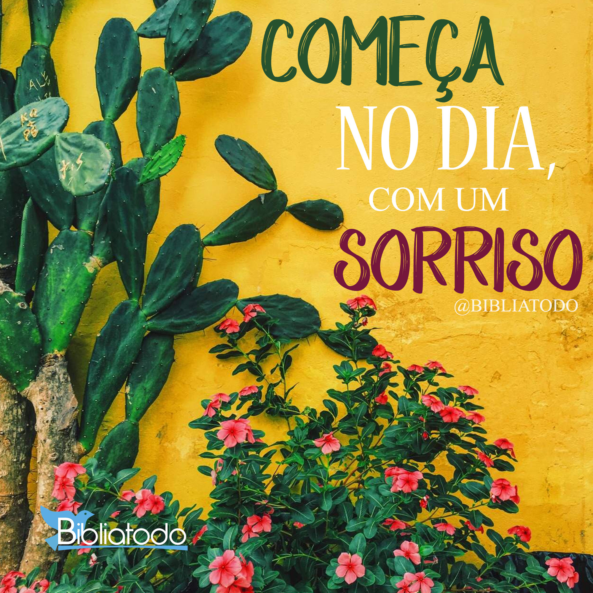 Começa no dia com um sorriso