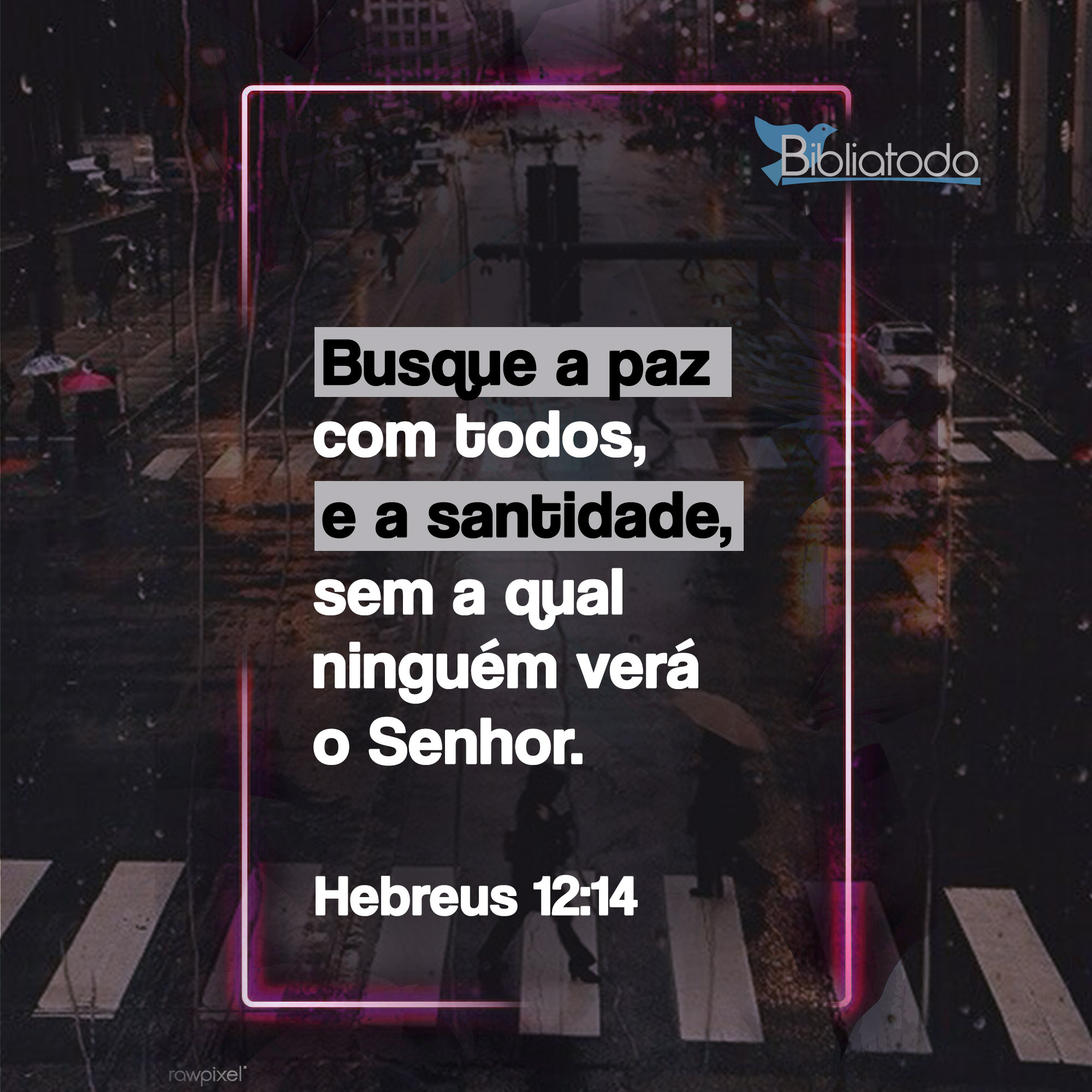 Busque a paz com todos e a santidade