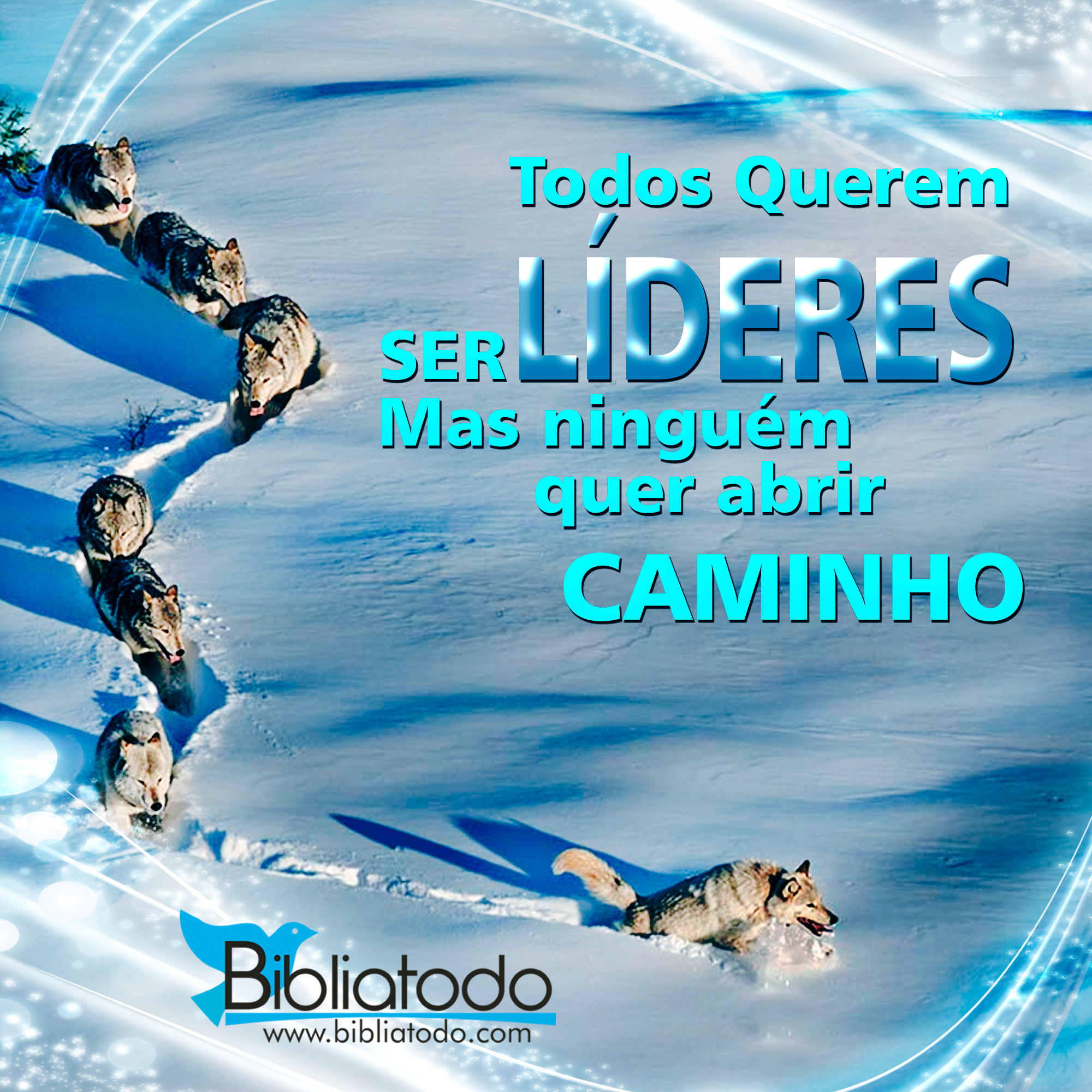 Todos Querem SER LÍDERES Mas ninguém quer abrir CAMINHO