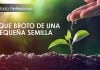 Lo que broto de una pequeña semilla