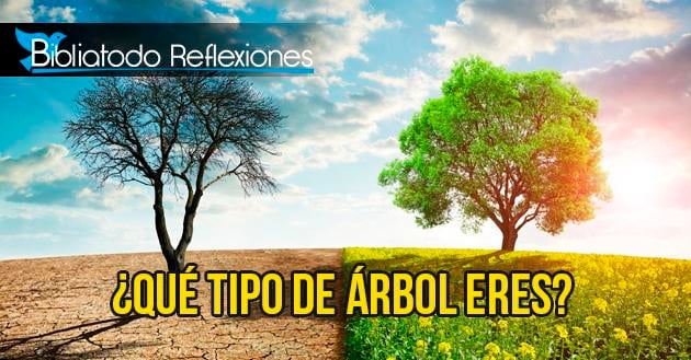 ¿Qué tipo de árbol eres?