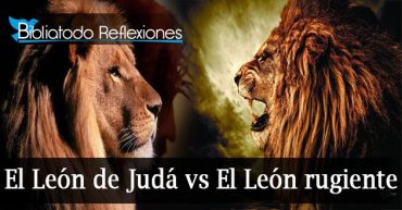 El León de Judá vs El León rugiente