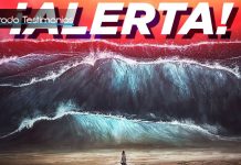 ¡Alerta! Vi Venir 6 Olas de Tsunami - Becky Dvorak