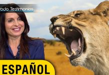 UNA LEONA SURGIENDO - Lisa Bevere