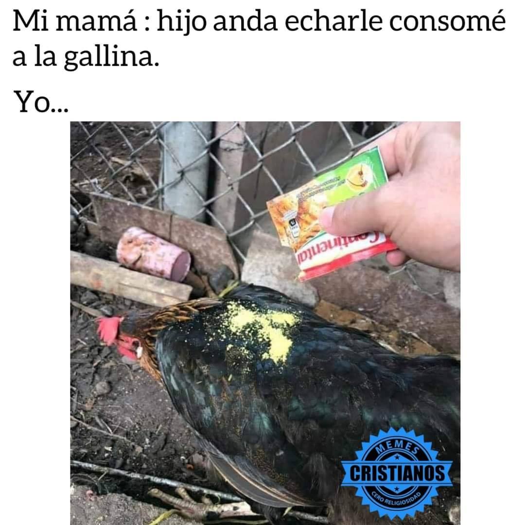 PARA MORIR DE LA RISA! | Los mejores MEMES que dejó la jornada 9 de la Liga  MX - Sports Illustrated, image size:1080x1080