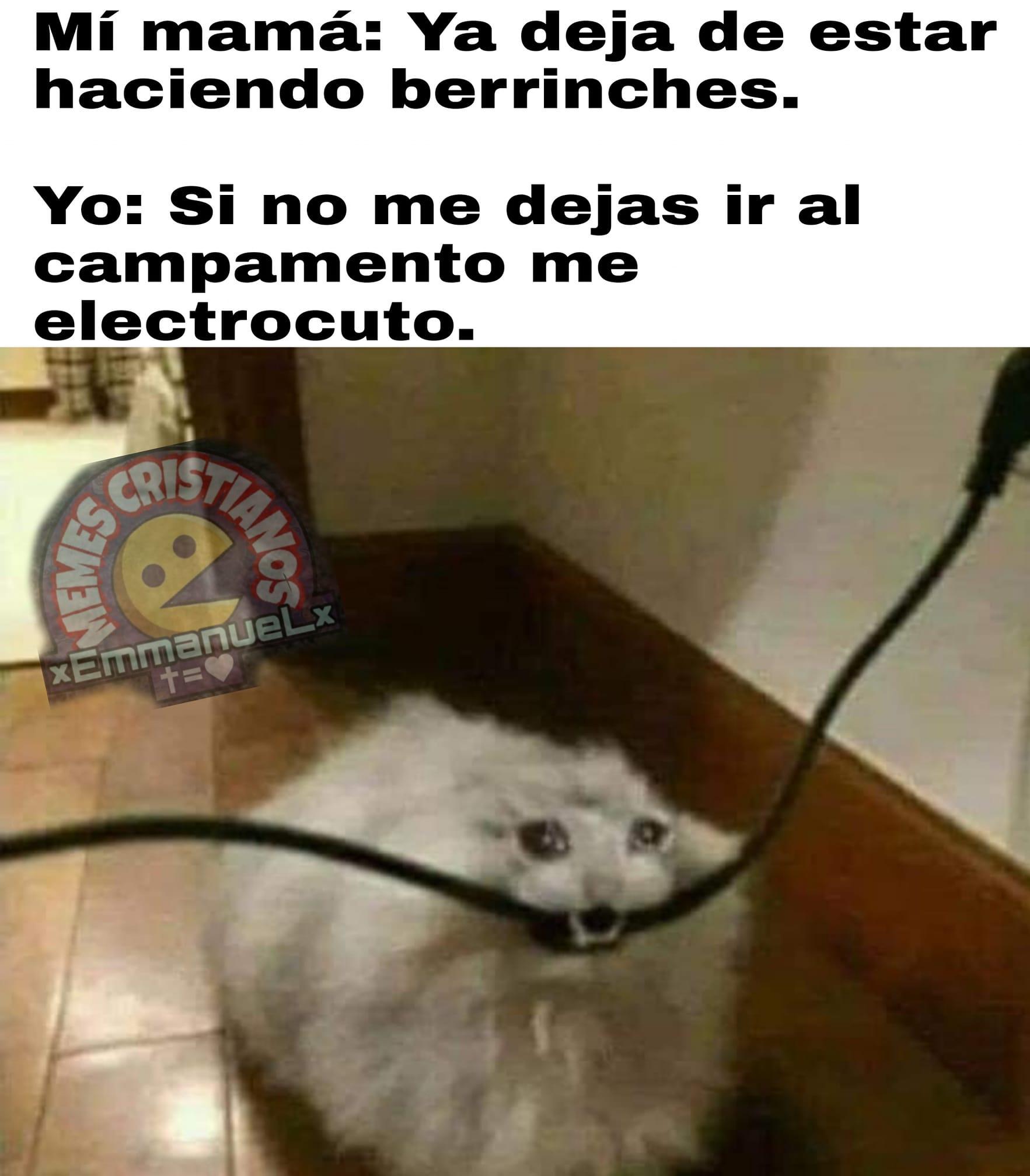 Si no me dejas ir al campamento me electrocuto - MEMES CRISTIANOS, image size:1765x2015